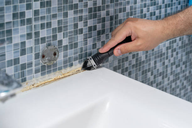 Best Mold Remediation Experts  in Portsmouth, NH